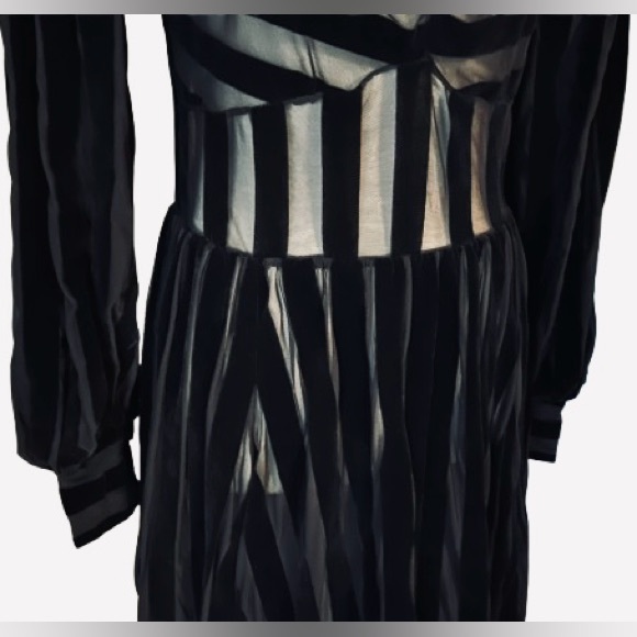 Foxblood Medium Velvet Velour Striped Sheer Gown Peasant Gothic Vintage Maxi - Picture 15 of 16